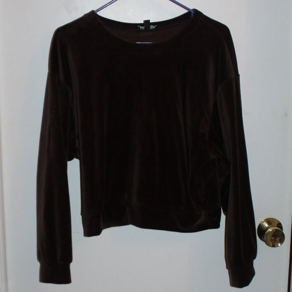 Express Brown Velvet Crewneck Sweatshirt